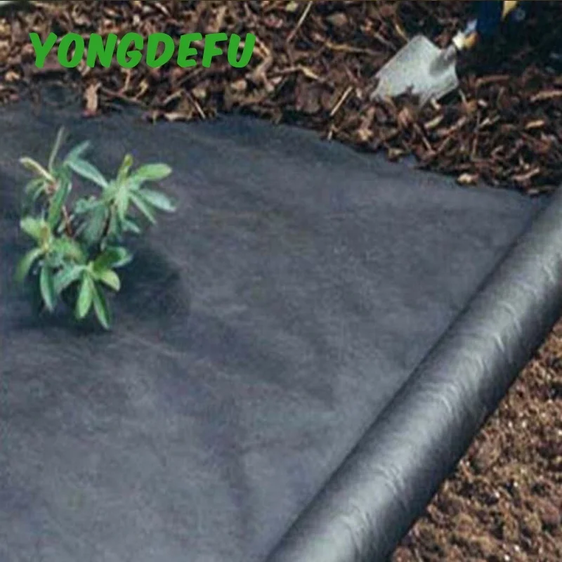 For Garden And Agriculture 50gsm 60gsm Breathable Ecofriendly 100