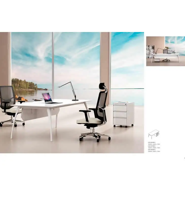 2024 Luxury Modern Executive Desk Executive Desk Adelaide Made Ceo Desk