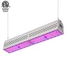 Plant Culture Outdoor Plant Smart Control Led Cultivation Light 100w 800w Hydroponic Led Grow Light Lamp