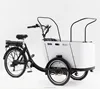 New hot selling Jxcycle Family cargo tricycle electric cargo bike