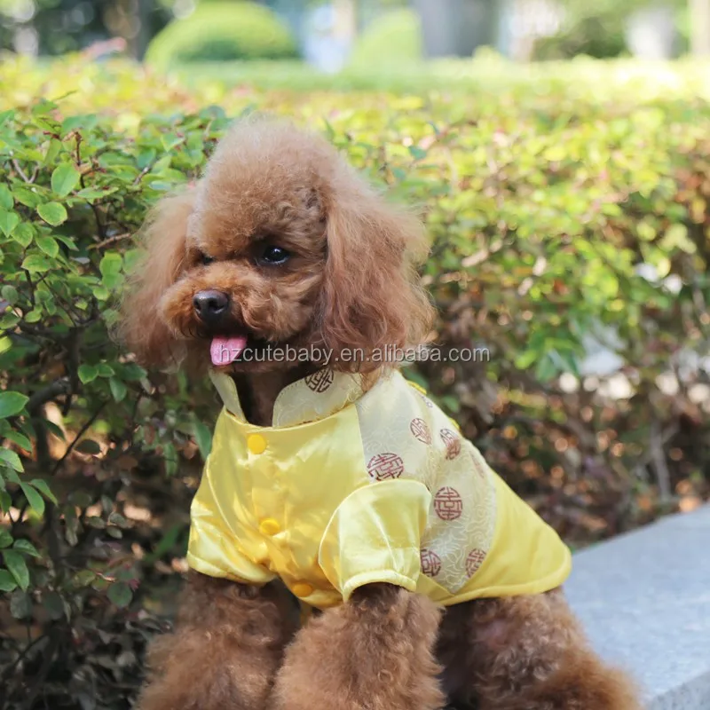 Stock Fashion Chinese Crested Dog Clothes Buy Chinese Crested Dog