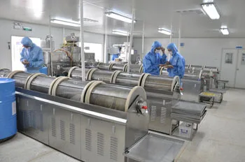 GMP certified Natural Beta carotene Softgel