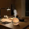Cool mist low noise aroma diffuser ultrasonic humidifier small diffuser essential oil