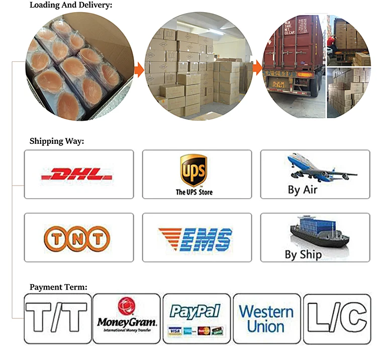 Shipping & Delivery.png
