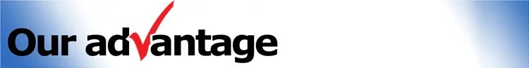 advantage_logo_webheader.png