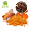 Plant Herbal Supplement Curcumin Extract Powder With 95% Turmeric Curcumin