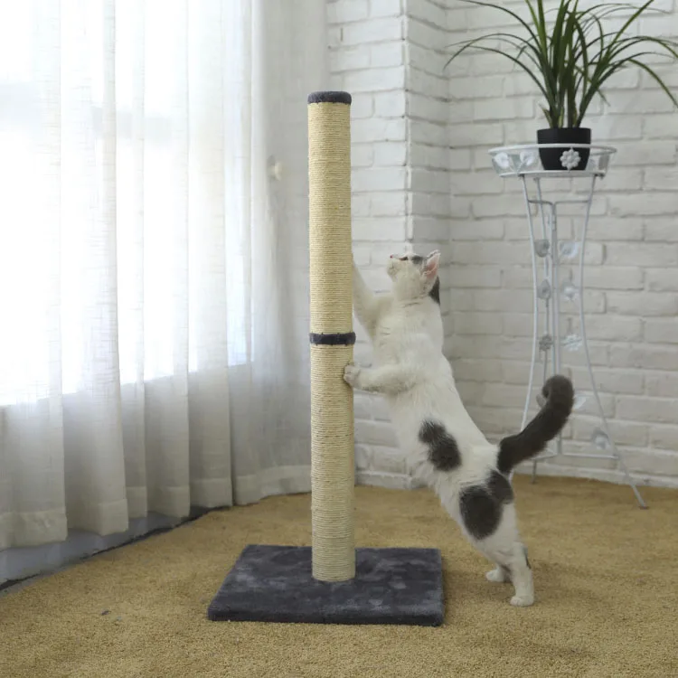tall cat scratching post