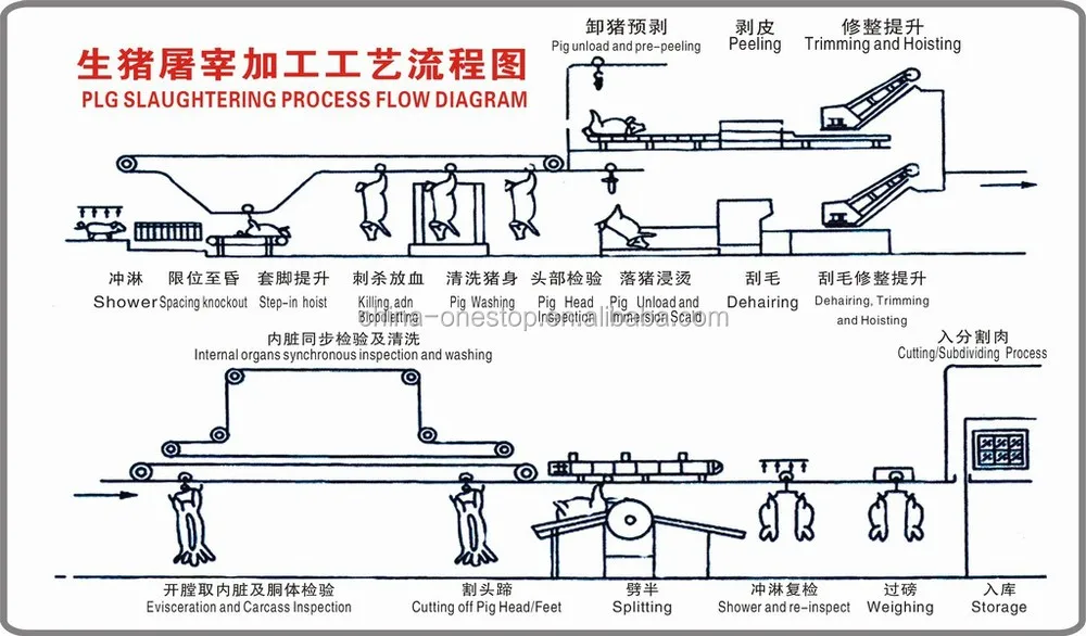 vertical pig carcass washing machine slaughter equip