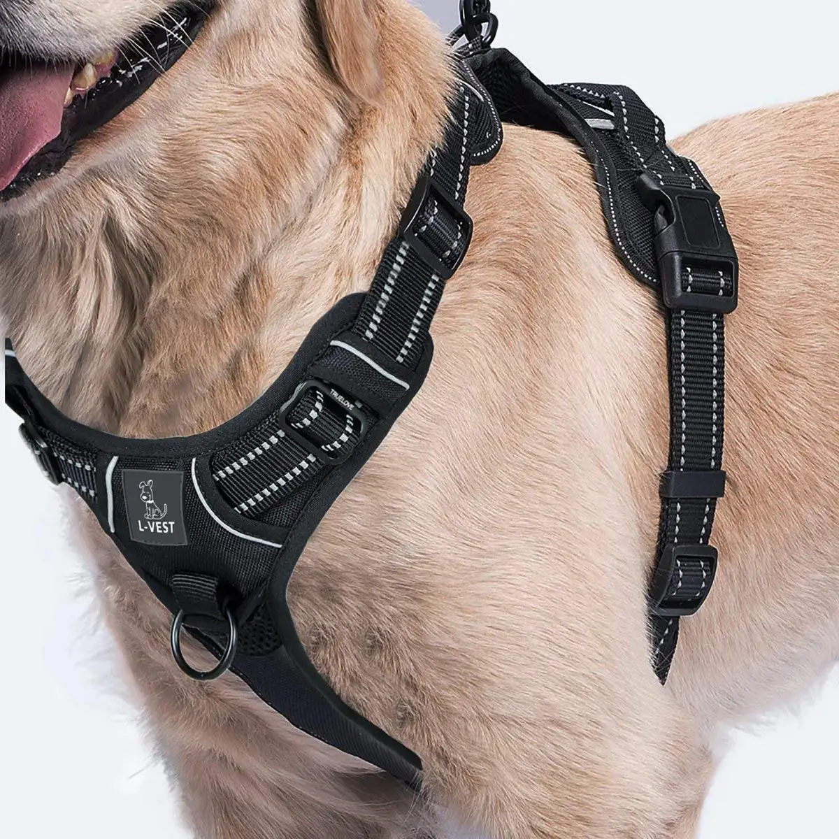 Easy Walk Dog Harness Sizing Chart