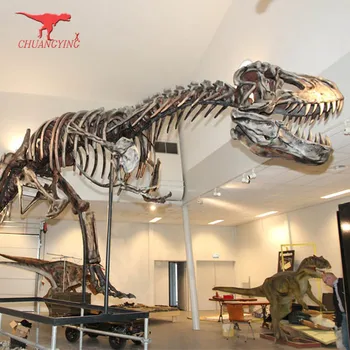 dinosaur skeleton replicas