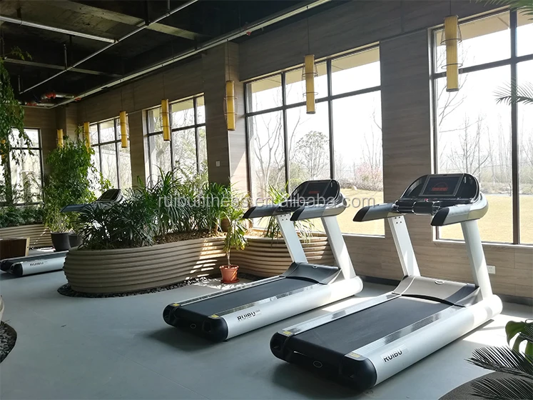 2017 Factory direct sales luxury club gym bodyduilding fitness equipment RuiBu-9028