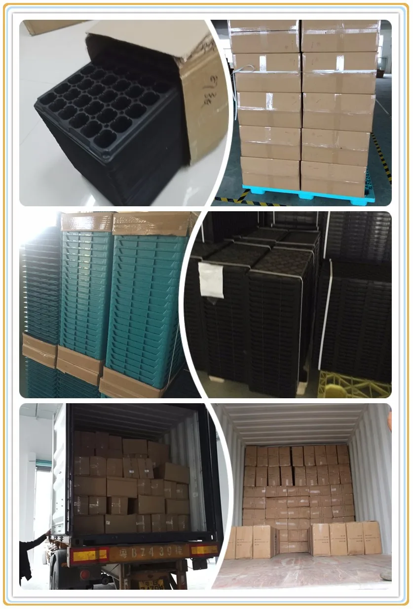 Garden Germination Seed Starter Tray,Polystyrene Ps Plastic Rice