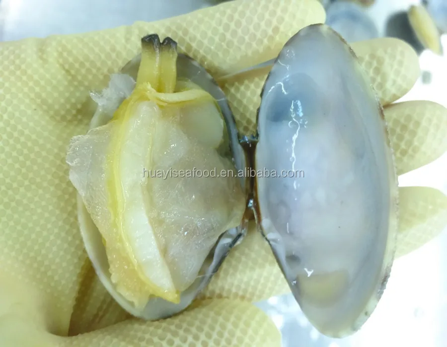 Frozen Delicious Baby Clams With Shell Top Quality Low Price Buy