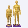 High-definition lettering human meridian acupoint model whole body medical acupuncture copper teaching male villain model