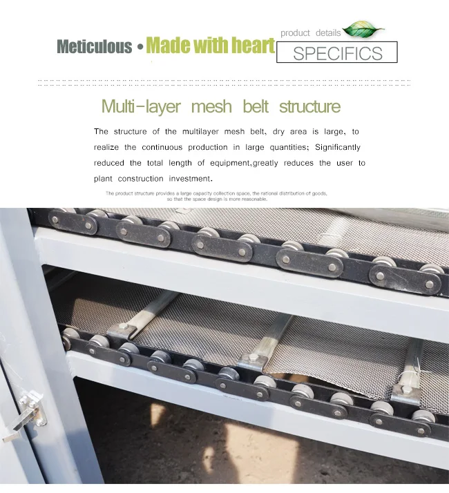 mesh belt dryer5.jpg