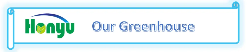 our greenhouse.png