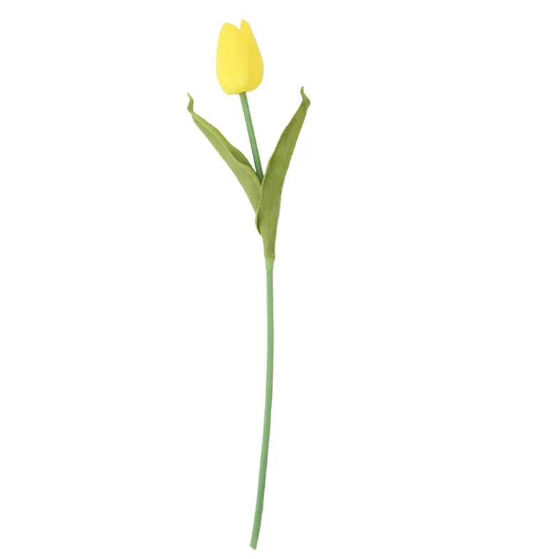 Gambar Setangkai Bunga Tulip
