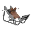 Fitness Equipment/Commercial Gym Equipment/ Hack Squat Machine