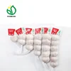 New Crop Fresh Normal White Garlic Price from China