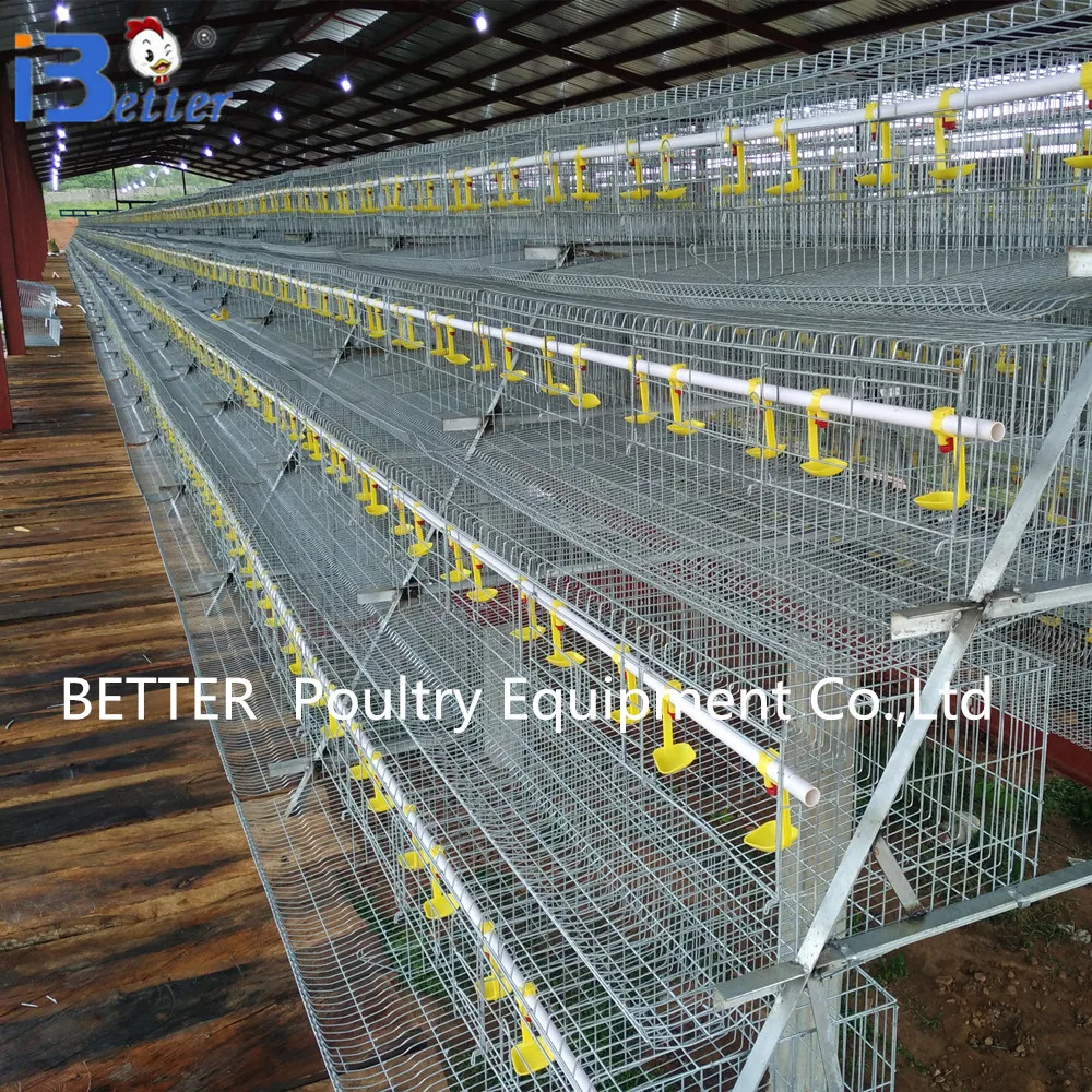 Better Factory Supply 2017 New Design Chicken Cages For Kenya Farm