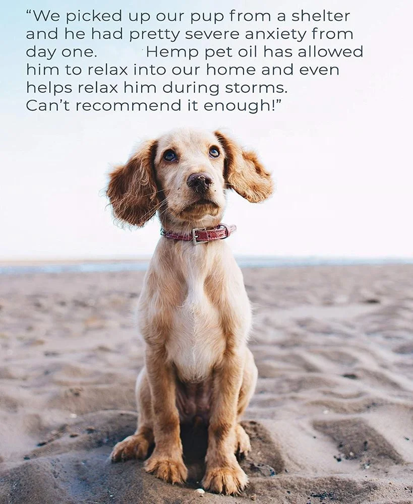 natural hemp oil for pets