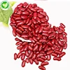 market price dried chinese red kidney beans for sale