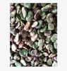 fava beans faba beans broad beans for Feed the fish