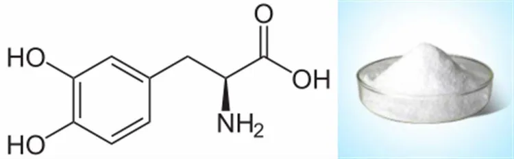 290px-3,4-Dihydroxy-L-phenylalanin_(Levodopa)_svg_.jpg