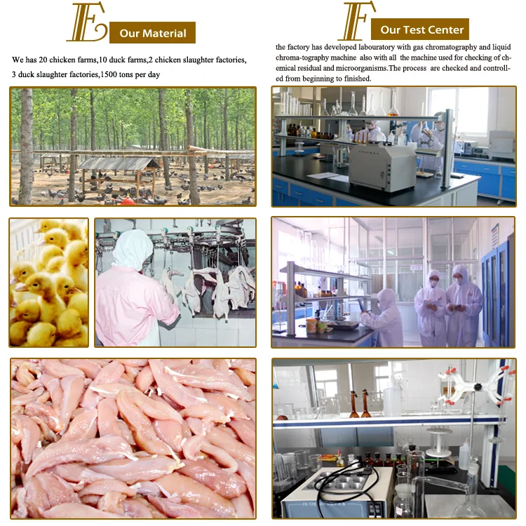 eukanuba dog food