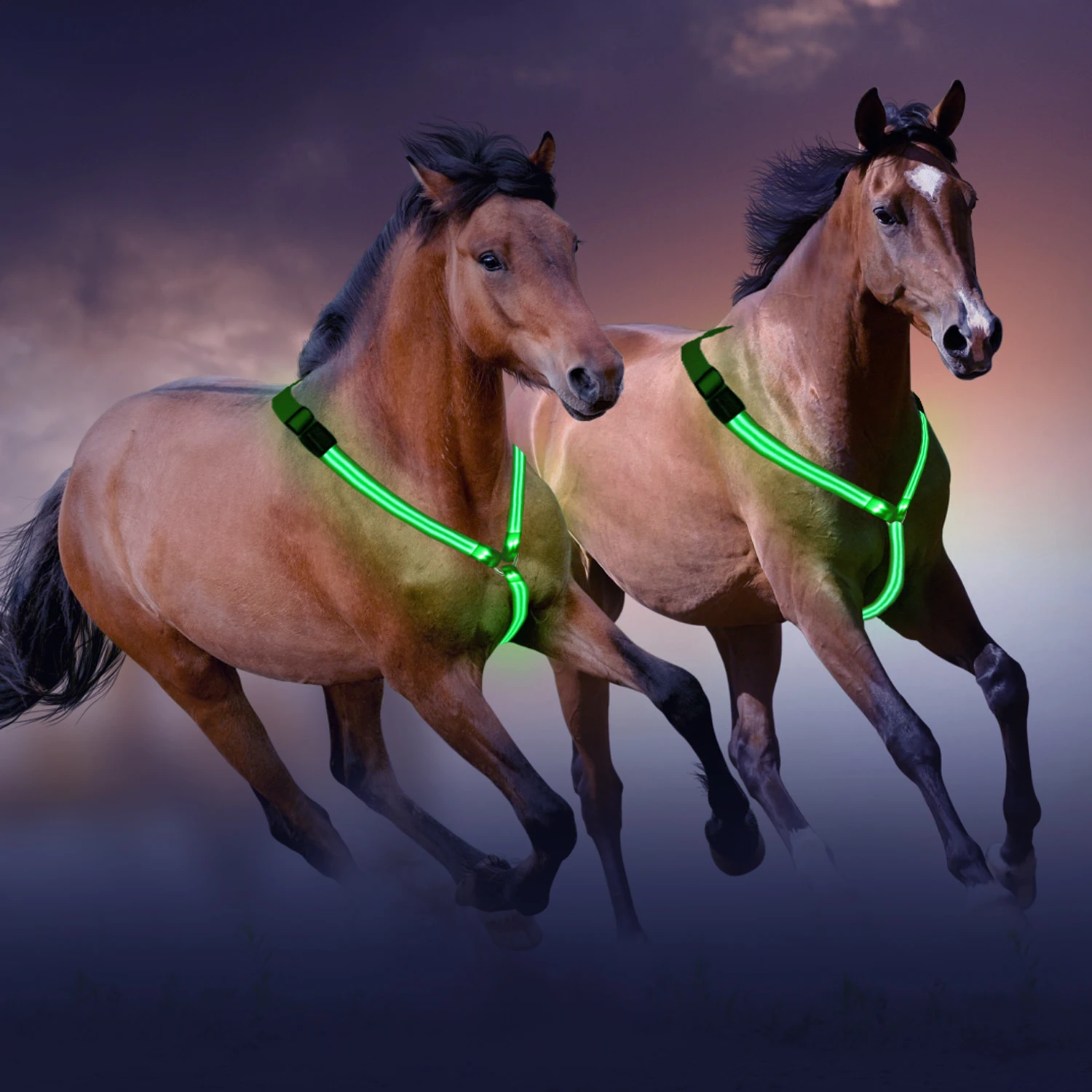 Safety Led Flashing Saddle Horse Harness For Draft Horse Harness Buy