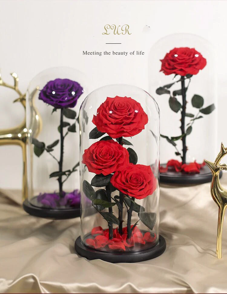 Luxury Glass Dome Natural Eternal Rose Preserved Flower Wholesale Forever Rose For Mothers Day