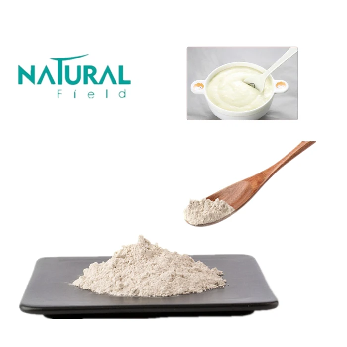 White Rice Protein Isolate Food Grade Rice Protein Bulk Powder Buy