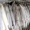 Soft Royal Top Quality Fox Pelts for Making Fur Accessories