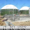 China Biogas Plant, Digester Membrane Roof, Biogas From Vegetable Waste