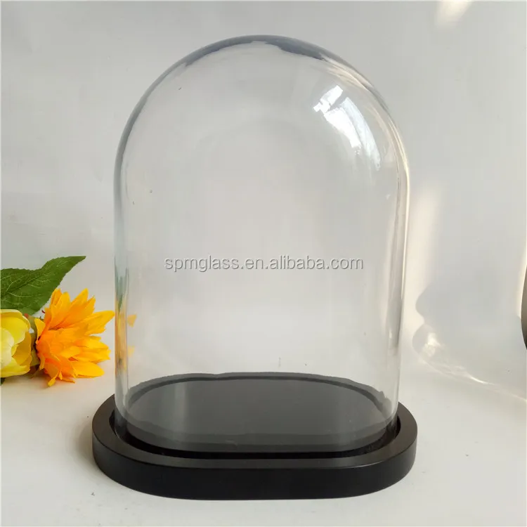 20cm,25cm,30cm Height Flower Glass Dome Oval Dome With Wooden Base