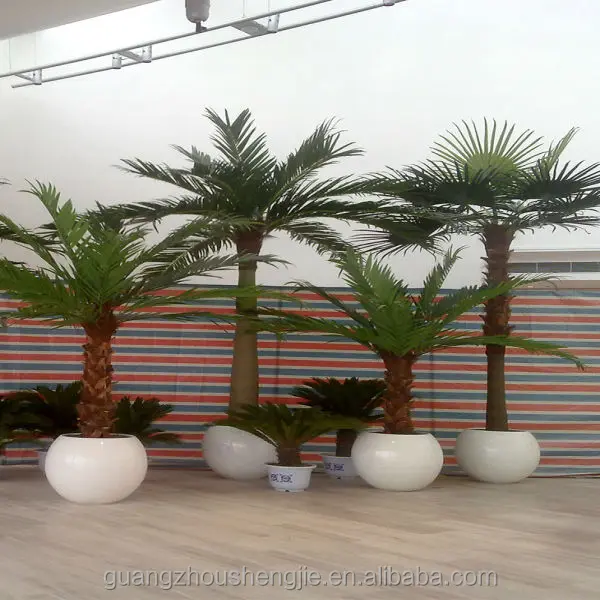 Q082301preserved Palm Trees Miniature Plastic Palm Tree Ornamental