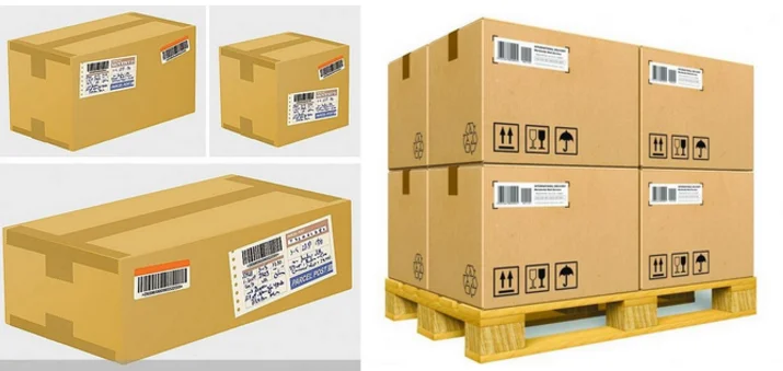 paste-pic-dp_uuid_s8hgm