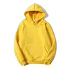 free samples free shipping blank fashion sweatshirts hooded cotton hoodie