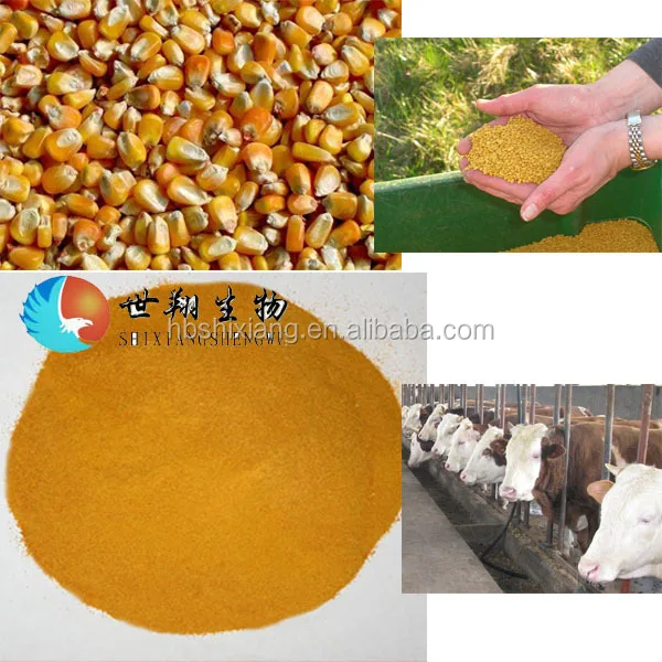 Feed Grade Corn Gluten Meal For Livestock Buy Corn Gluten Meal Feed
