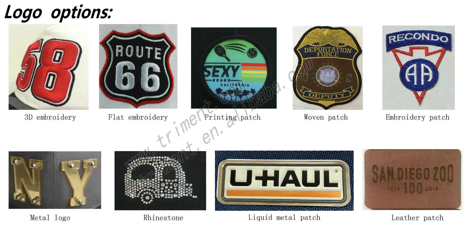 4 logo options.jpg