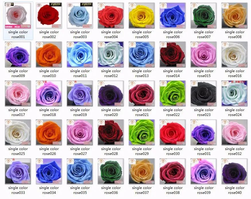 Nominal Preserved Cutting Roses Varieties From Best Website To Buy ...