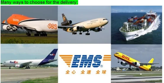 paste-pic-dp_uuid_x8aq7