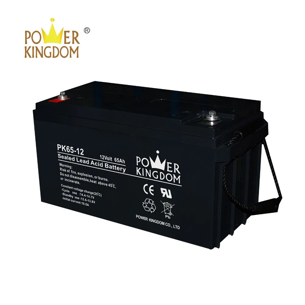 Power Kingdom 6v gel motorcycle battery factory price Automatic door system