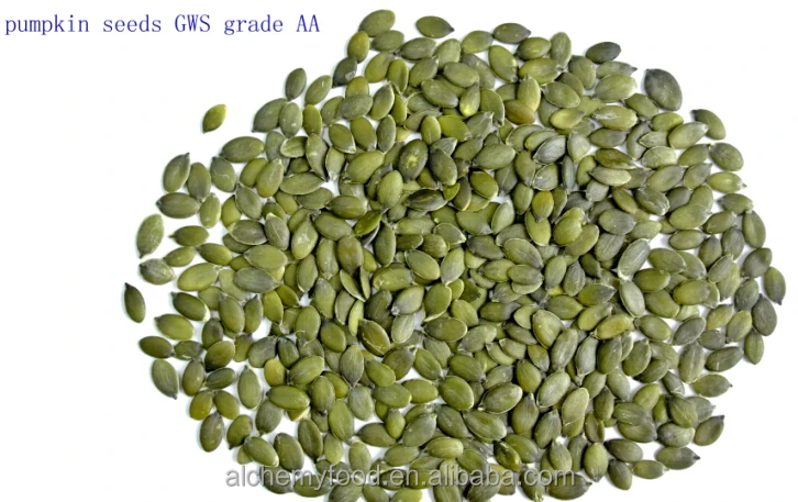 Pumpkin Seed.jpg