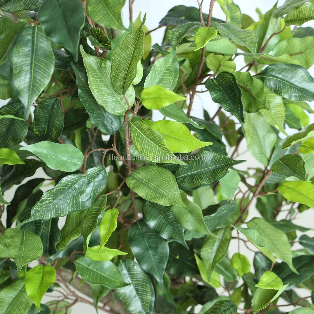 Ficus Artificial 150cm Ficus Tree Ficus Branches Green Or White Leaves