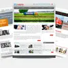 Web Development & Designing Service with SEO Web Hosting and Domain Registration