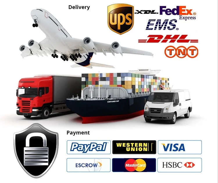transport and payment.png