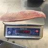 Factory Direct Sale Frozen Fish Red Snapper Fillet and WGGS Good Sale Indonesia Origin Seafood
