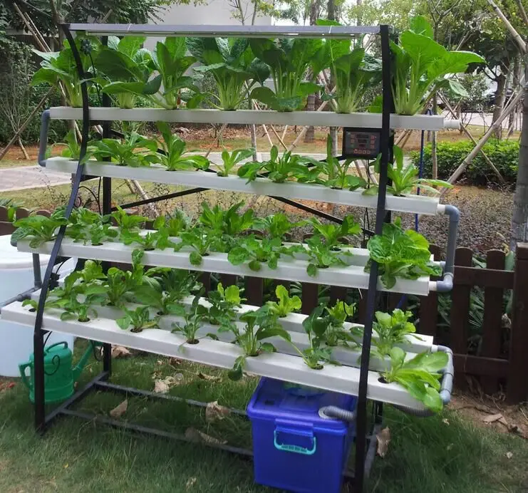 Pvc Nft Hydroponics - Buy Hydroponics Plant Pvc Pipe,Nft ...