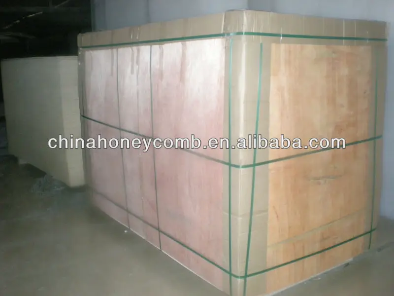 Extruido Polipropileno Núcleo De Nido De Abeja De Panel De Pared